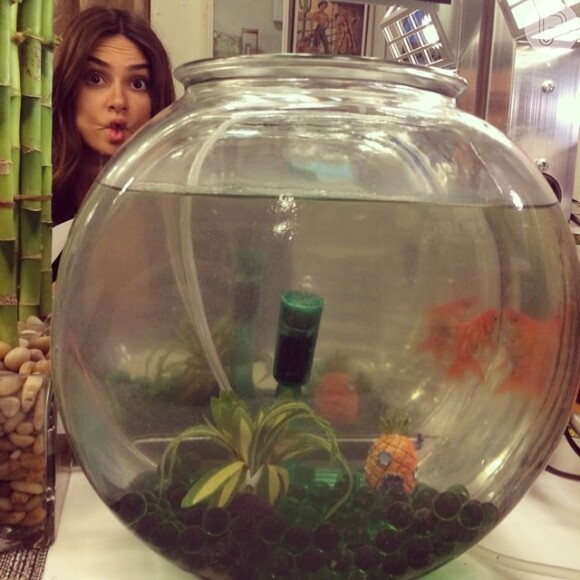 Thaila Ayala publicou uma foto em seu Instagram em que aparece com o aquário do camarim do ator James Franco