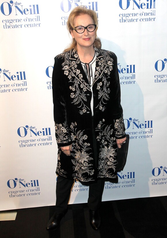Meryl Streep vai começar as filmagens em janeiro de 2015