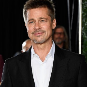 'Ele saiu para namorar, mas não está querendo entrar em um relacionamento sério no momento', disse uma fonte sobre Brad Pitt