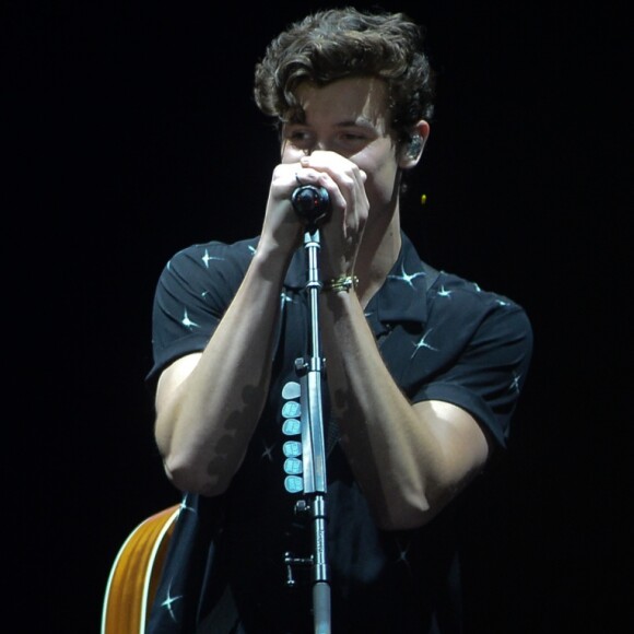 'Quando eu toquei no Rio achei que o show passou tão rápido. Depois fiquei olhando as fotos e mal podia acreditar naquilo', contou Shawn Mendes