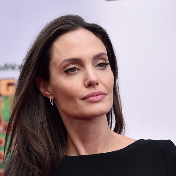 Angelina Jolie tem detalhes da briga de Brad Pitt com Maddox em voo anotados em seu diário secreto