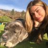 Grazi Massafera encontra cachorro durante viagem ao Peru e brinca: 'Amizades pelo caminho'