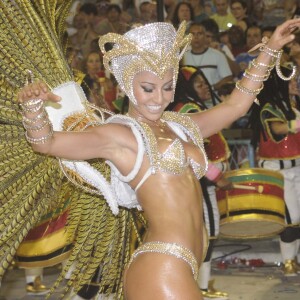 Por conta da fantasia, Sabrina Sato ficou levemente machucada nas costas em 2009, mas não deixou de voltar à Sapucaí no desfile das campeãs