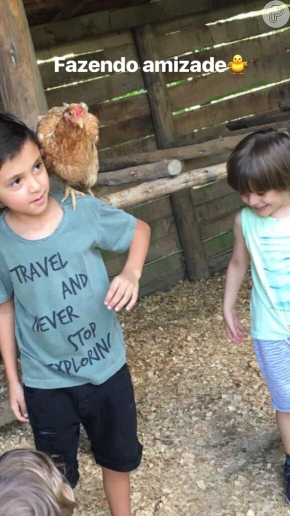 Eliana mostra o filho, Arthur, com uma galinha nos ombros: 'Fazendo amizade'