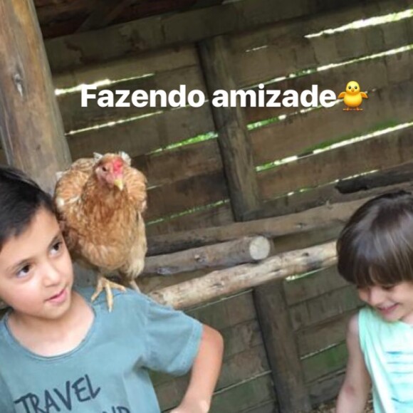 Eliana mostra o filho, Arthur, com uma galinha nos ombros: 'Fazendo amizade'