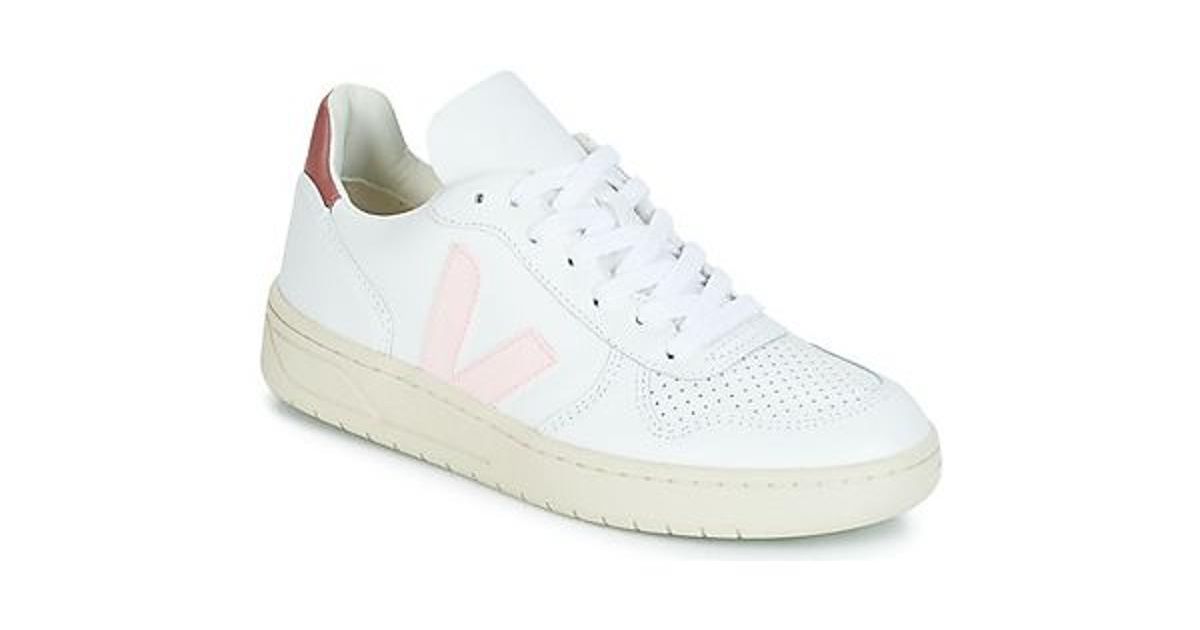 netshoe tenis