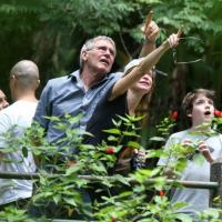 Harrison Ford visita Floresta da Tijuca e o Jardim Botânico do Rio com família