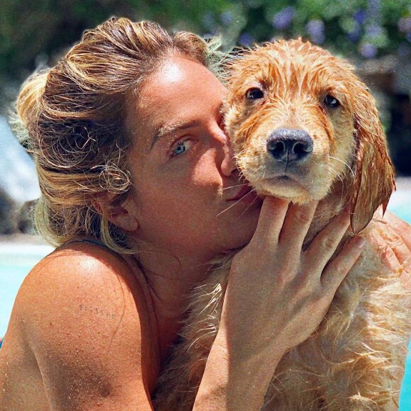 Filhote de Golden Retriver é presente de Giovanna Ewbank e Bruno Gagliasso para a filha, Títi