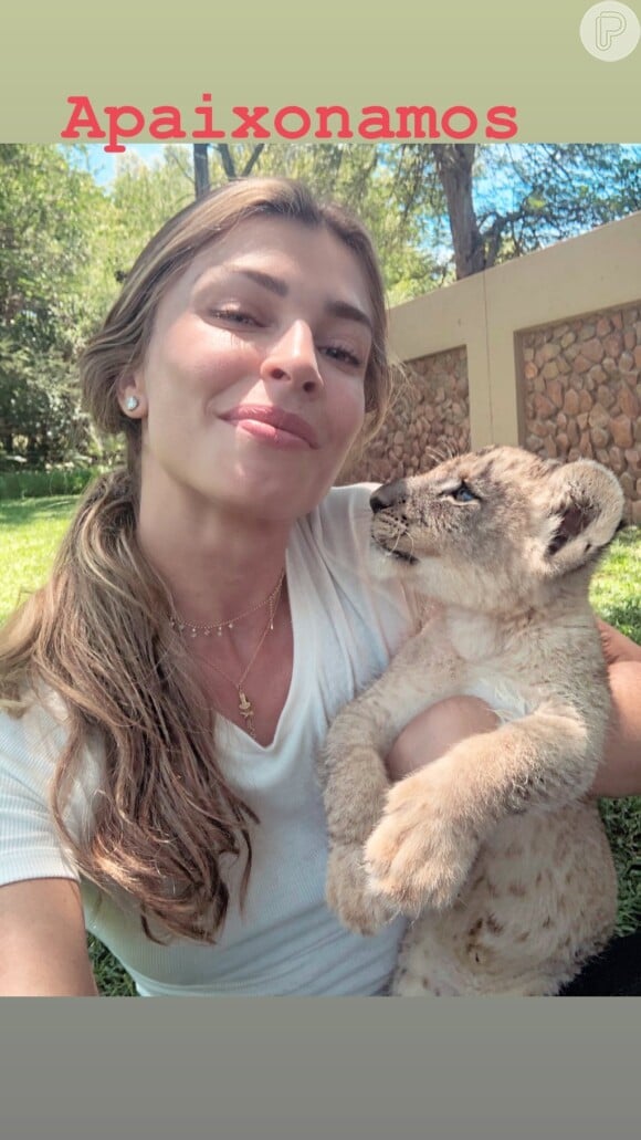 Grazi Massafera faz foto fofa com filhote de leão