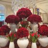 Grazi Massafera ganha flores vermelhas de Caio Castro no Valentine's Day