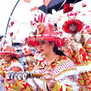 Carnaval 2020: X-9 Paulistana ficou em 13º e penúltimo lugar e acabou rebaixada para o Grupo de Acesso