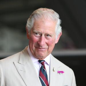 Príncipe Charles foi diagnosticado com o covid-19