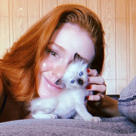 Marina Ruy Barbosa mostra novo gato em vídeo