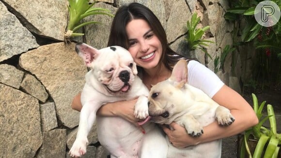 Sthefany Brito se irritou com pergunta de seguidor se doaria os seus pets caso o filho apresente alergia a pelo de cachorro