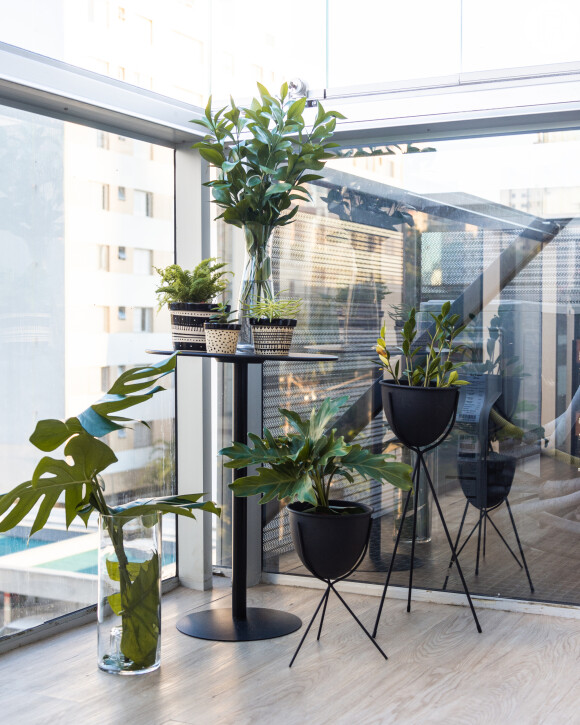 Projeto da arquiteta Júlia Guadix reforça a importância de ter plantas em casa