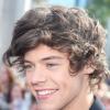 Harry Styles é integrante da banda britânica One Direction e 'olhava para todas as meninas que passavam'