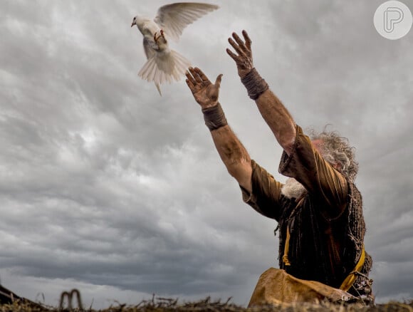 Novela 'Gênesis': Após o dilúvio Noé teria soltado uma pomba por três vezes até que não retornasse mais