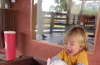Filho caçula de Patricia Abravanel, Senor brincou com coelho em fazenda, em vídeo postado pela apresentadora em 22 de maio de 2021