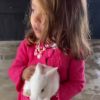 Filha de Patricia Abravanel, Jane também se divertiu com coelho em fazenda, em vídeo postado pela apresentadora em 22 de maio de 2021