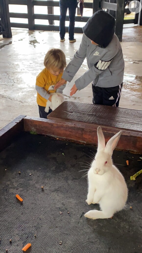Filhos de Patricia Abravanel, Senor (2 anos) e Pedro (de 6), brincaram com coelhos em fazenda