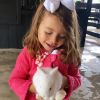 Filha de Patricia Abravanel, Jane incentivou a mãe a pegar um coelho