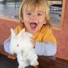 Filhos de Patricia Abravanel se divertiram ao brincarem com coelhos em fazenda
