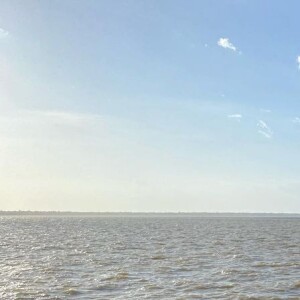 Ximbinha alega 'prejuízo de ordem moral' em processo contra ex-deputado e Joelma foi intimada para ser testemunha de defesa de político