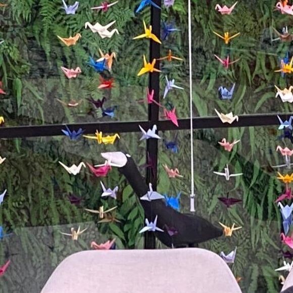 Ana Maria Braga deve ficar em observação no hospital após cair em casa: 'Vamos ver se a gente consegue segurá-la em casa esta semana'