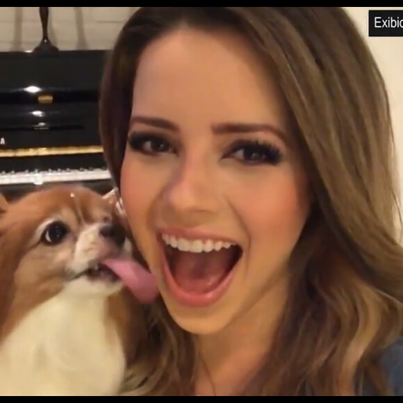 Sandy destacou luta da pet Zelda contra doença: 'Obrigada, Zeldinha, por ter lutado tanto, ter sido tão guerreira nesse último ano'