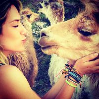Giovanna Ewbank brinca com lhama durante viagem a deserto do Chile: 'Muito amor'