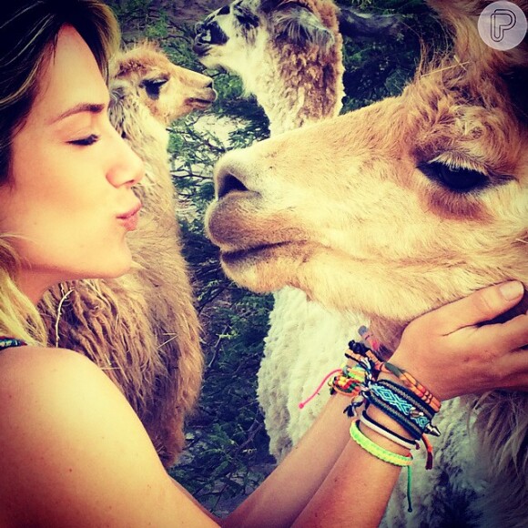 Giovanna Ewbank finge dar beijinho em lhama durante viagem ao Chile: 'É muito amor pra uma foto só'