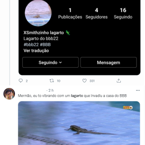 'BBB 22': lagarto cai na piscina, vira meme e ganha até Instagram após destaque nas redes sociais