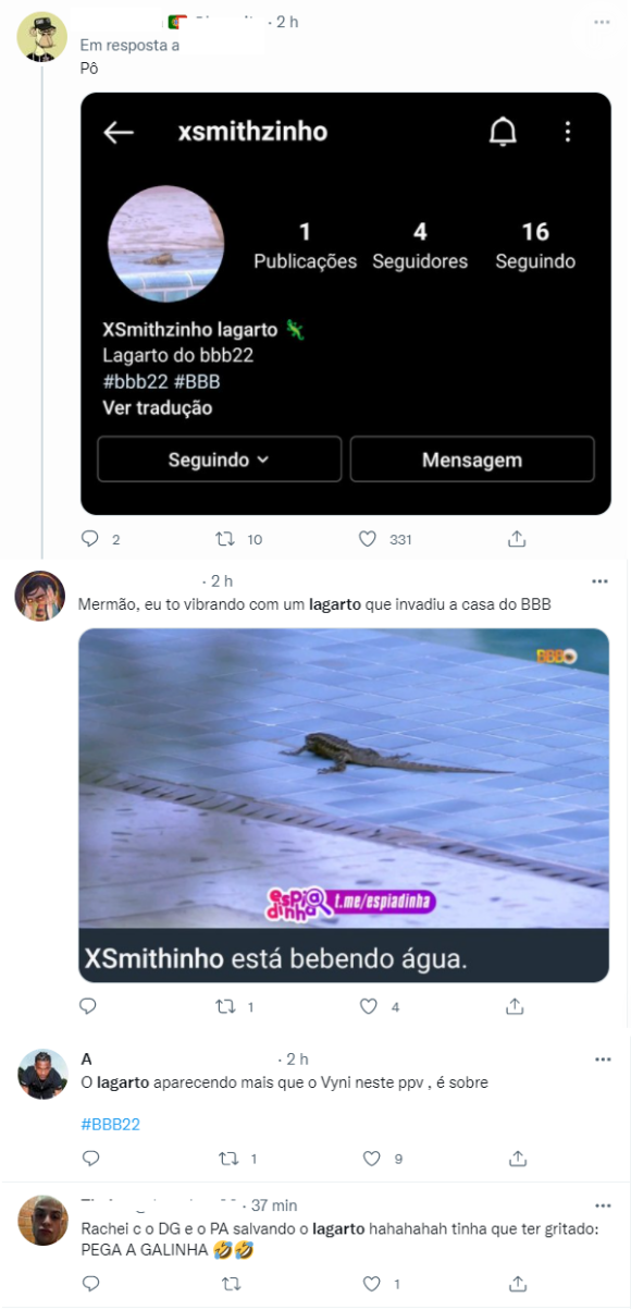 'BBB 22': lagarto cai na piscina, vira meme e ganha até Instagram após destaque nas redes sociais
