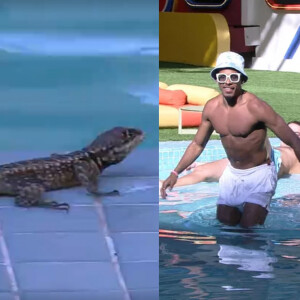 'BBB 22': lagarto aparece próximo à piscina da casa, cai na água e é salvo por Paulo André e Douglas