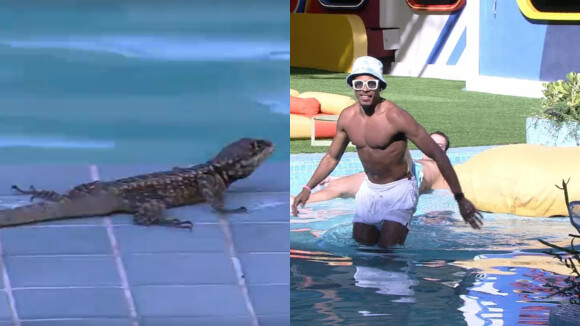 'BBB 22': lagarto assusta brothers na piscina, ganha apelido e web faz piada. 'Torcer pro lagarto'