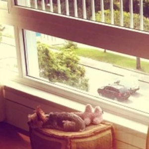 Yasmin Brunet tatuou o bumbum em 2013