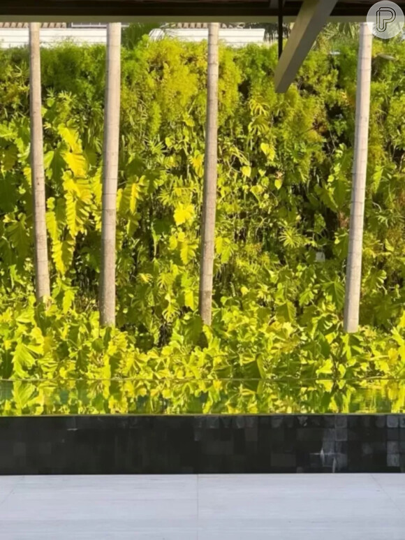 Casa de Marina Ruy Barbosa conta com uma ampla área externa com piscina e muita natureza