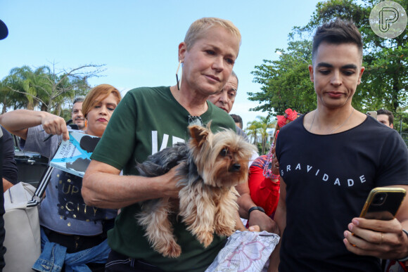 Xuxa Meneghel foi acusada de furar fila para votar