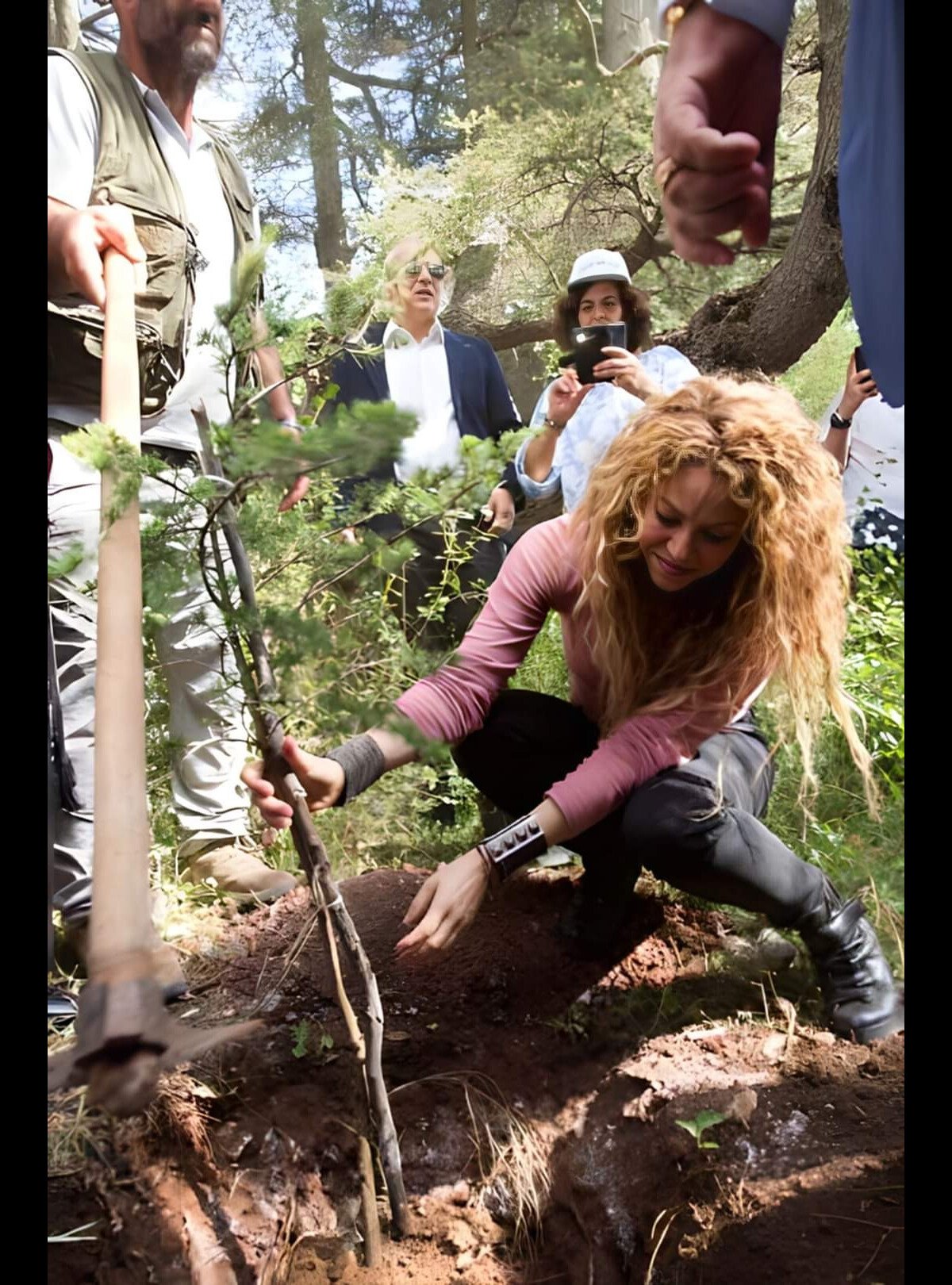 Foto: Árvore resgatada por Shakira durante mudança foi plantada no