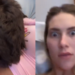 O casal Zé Felipe e Virgínia Fonseca voltou a ser alvo de bombardeios na web nesta quarta-feira (19)