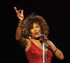 Tina Turner deixou um legado na música internacional