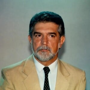 Domingo Meirelles na Globo foi repórter do Fantástico e do Jornal Nacional.