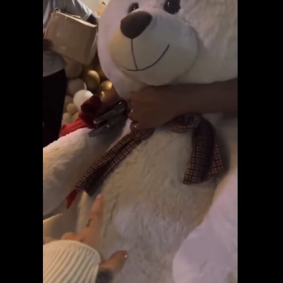 MC Mirella mostrou um urso semelhante ao que foi furtado