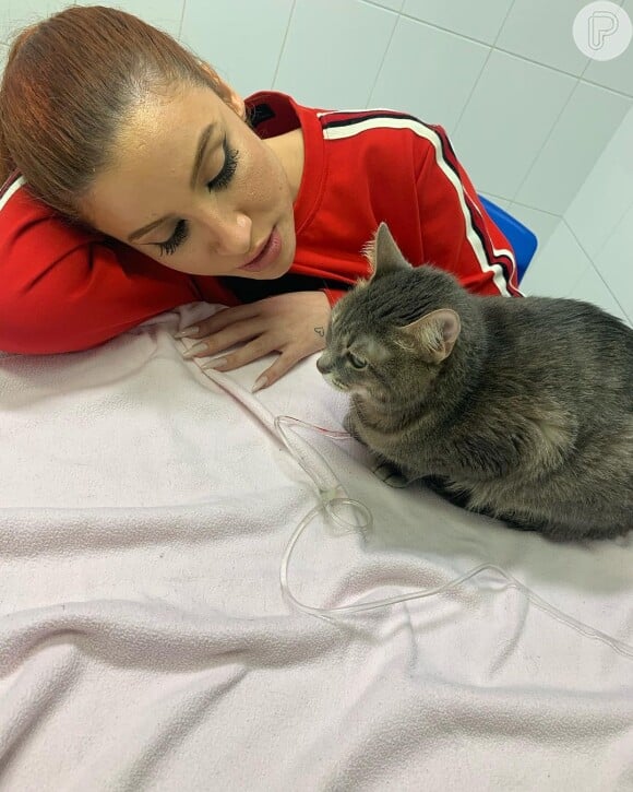 A influenciadora Bianca Andrade revelou que a gata Lua é sua companheira de anos.