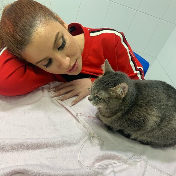 A influenciadora Bianca Andrade revelou que a gata Lua é sua companheira de anos.