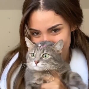Bianca Andrade agradece o apoio de seus seguidores, mas ainda não conseguiu localizar sua gatinha.