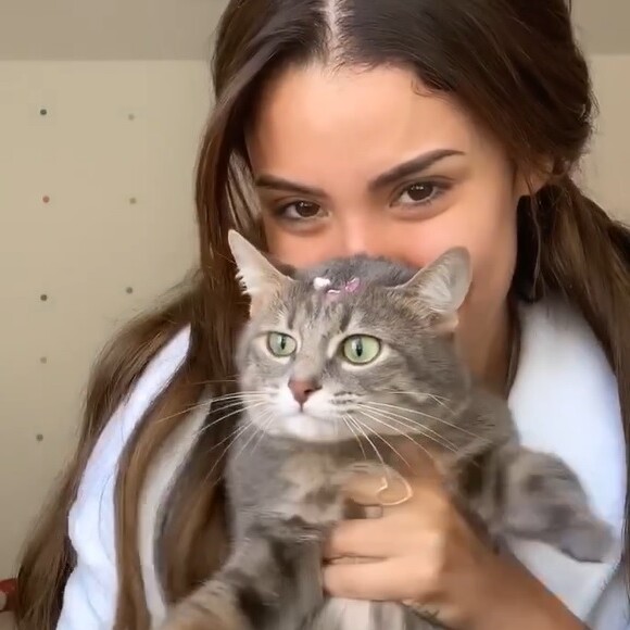 Bianca Andrade agradece o apoio de seus seguidores, mas ainda não conseguiu localizar sua gatinha.