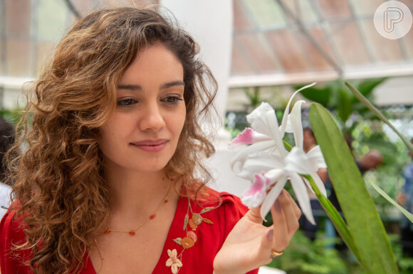 Sophie Charlotte está no ar na novela 'Todas as Flores em Mim'