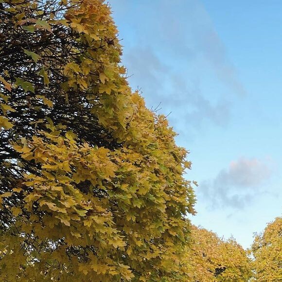 Separação de Sandy e Lucas Lima: com o anúncio do divórcio, muita gente acreditou que a viagem serviu como uma espécie de última tentativa do casal