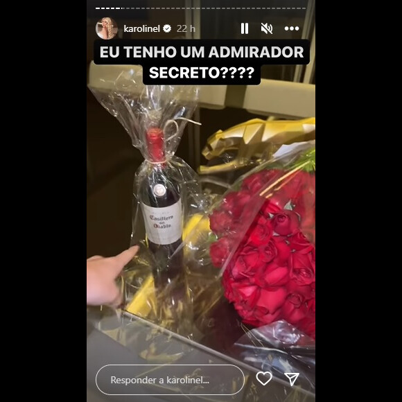 Karoline Lima se espantou com presente deixado em sua casa